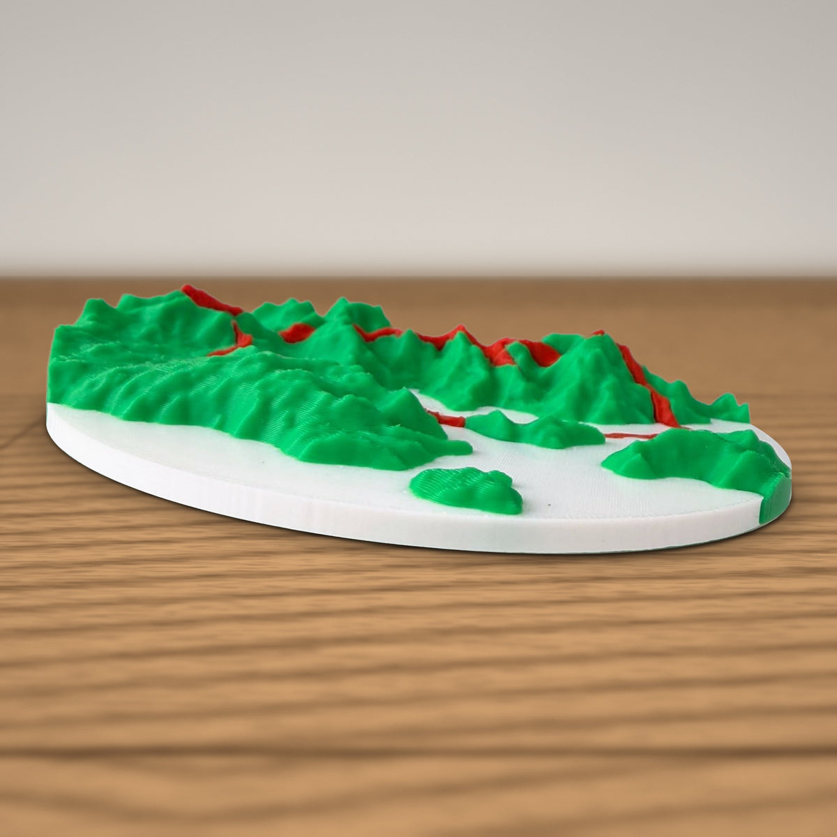 Low angle close-up of the printed terrain relief and red route